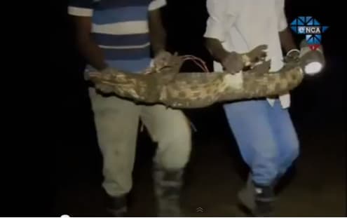South African Army Rescues Residents from 15,000 Crocodiles