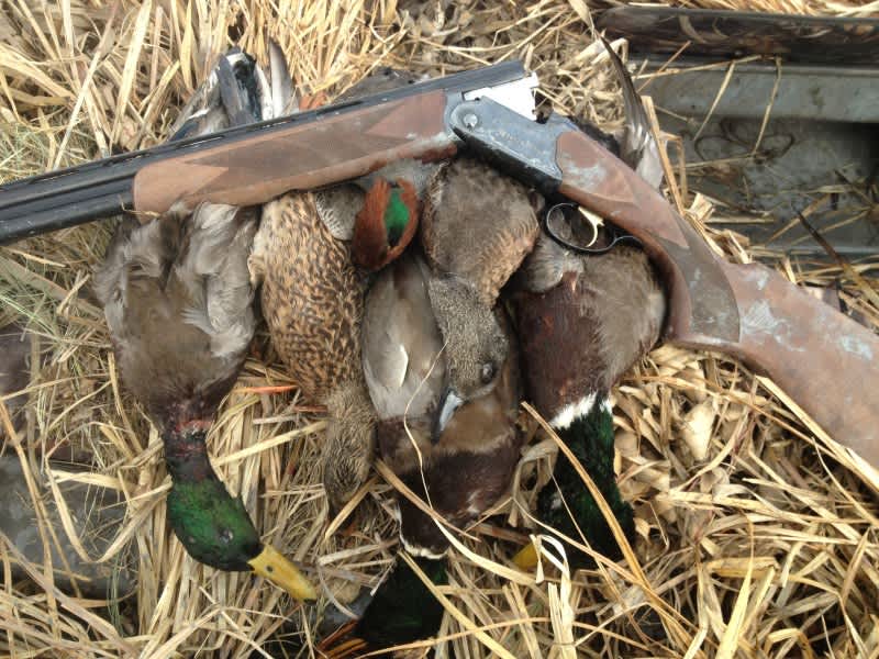 The Birdmen’s Four Best Waterfowl Products of the 2012/13 Season