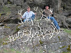 Shed Hunt Responsibly to Protect Big Game in Oregon