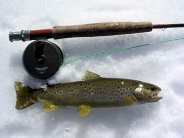 Wisconsin Early Inland Catch-and-release Trout Season Opens March 2