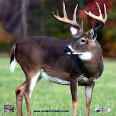 American Whitetail Expands High-Definition Infinity Line