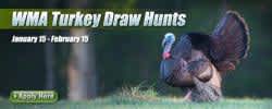 Mississippi Youth Turkey Hunting Applications Available for Canemount WMA