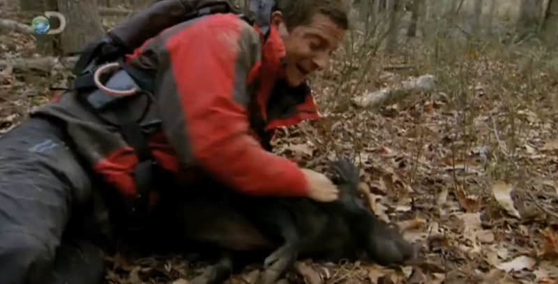 Bear Grylls to Return to Discovery’s International Networks