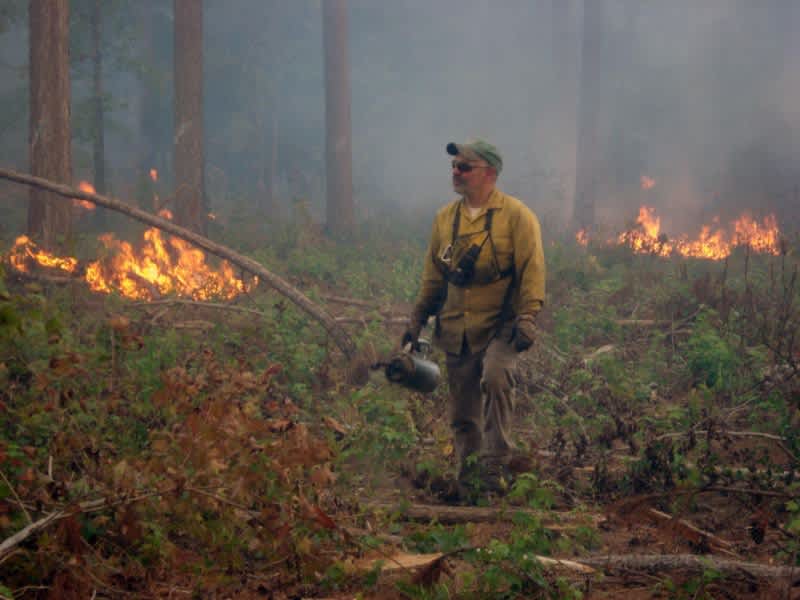 North Carolina Wildlife Commission Conducts Prescribed Burn in Wake County Today
