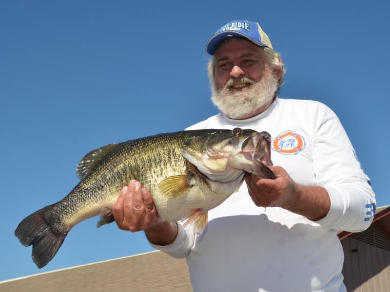 Three New Entries in Texas Toyota ShareLunker Program: Toledo Bend, Fork, Lake O’ the Pines