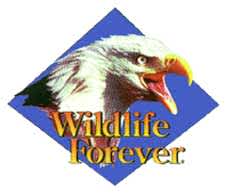Wildlife Forever Welcomes New Director