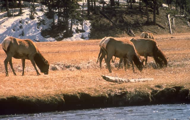 Supporters Warn of ‘Ghost Towns’ if Park Service Budget Cuts Enacted