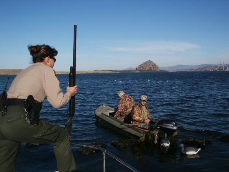Suppose You Meet a Game Warden in the Field…