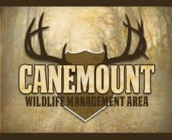 Mississippi Turkey Hunting Applications Available for Canemount WMA