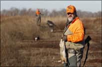 Rabbits Offer Plenty of February Hunting Opportunity in Arkansas