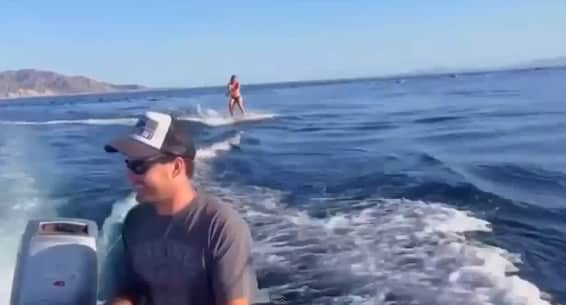 Video: Woman Wakeboards with a Pod of Dolphins