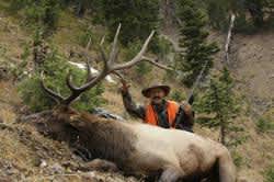 This Week on Outdoors Radio: Ron Spomer Talks Elk on a Budget
