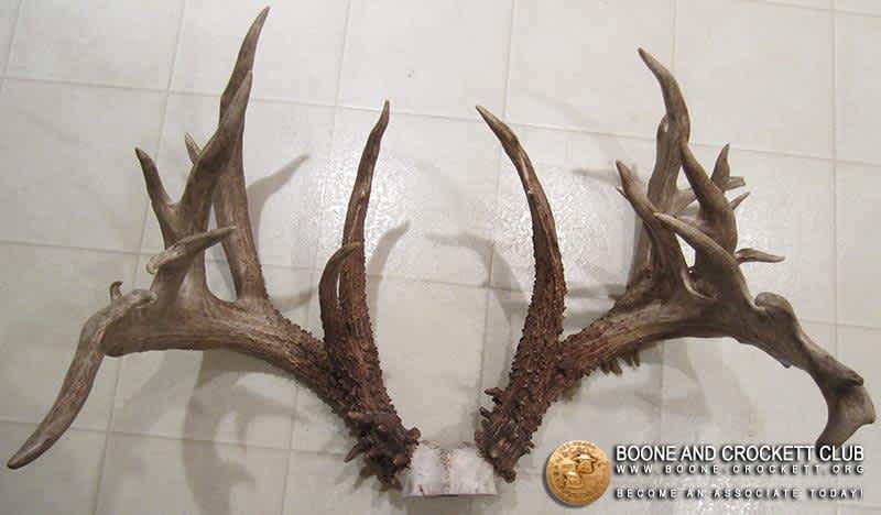 Possible Record Largest Non-typical Whitetail Harvested in Indiana