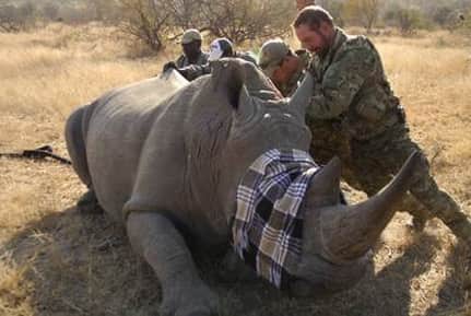 U.S. Military Forces Latest Weapon in Rhino Poaching War in New Animal Planet Series