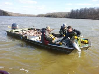 Commercial Fishing Tournament Nets 40 Tons of Invasive Carp from Kentucky and Barkley Lakes