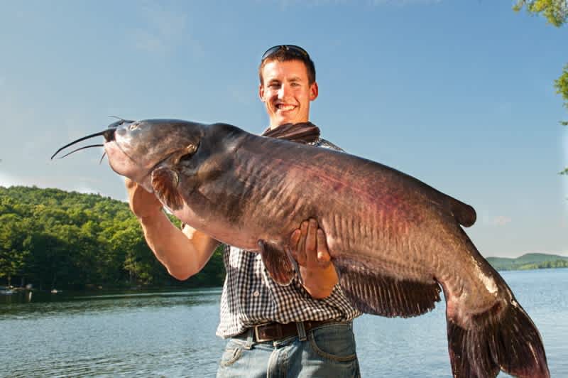 Three New Vermont State Record Fish Caught in 2012
