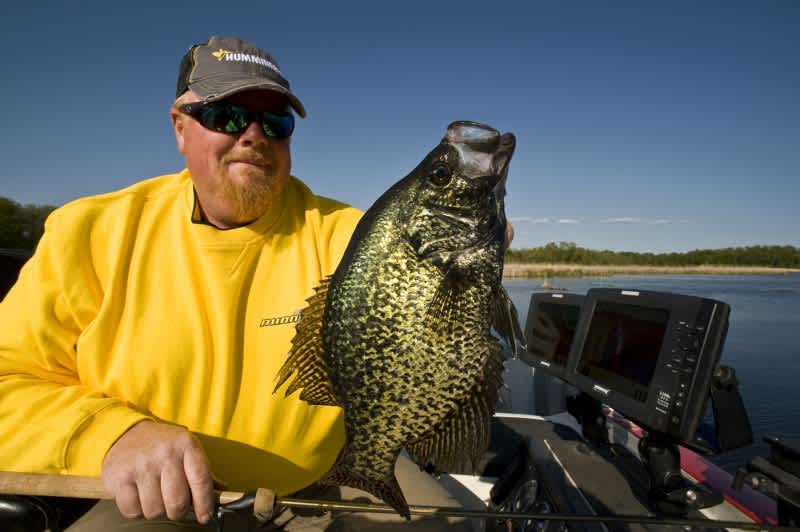 Floodwaters Point to Spring Crappies