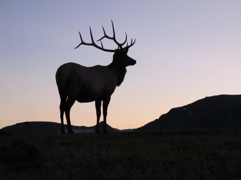 RMEF Receives $30 Million Endowment, One of the Largest Ever