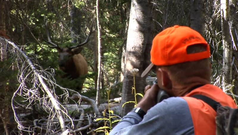 Hunters Shun Colorado over State Gun Laws