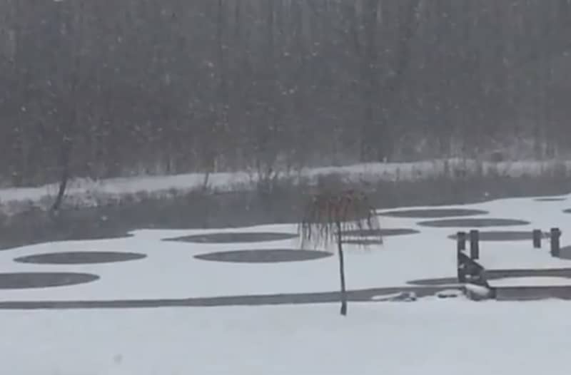 Ice Circles in New York Pond Blamed on Flatulent Waterfowl, Aliens