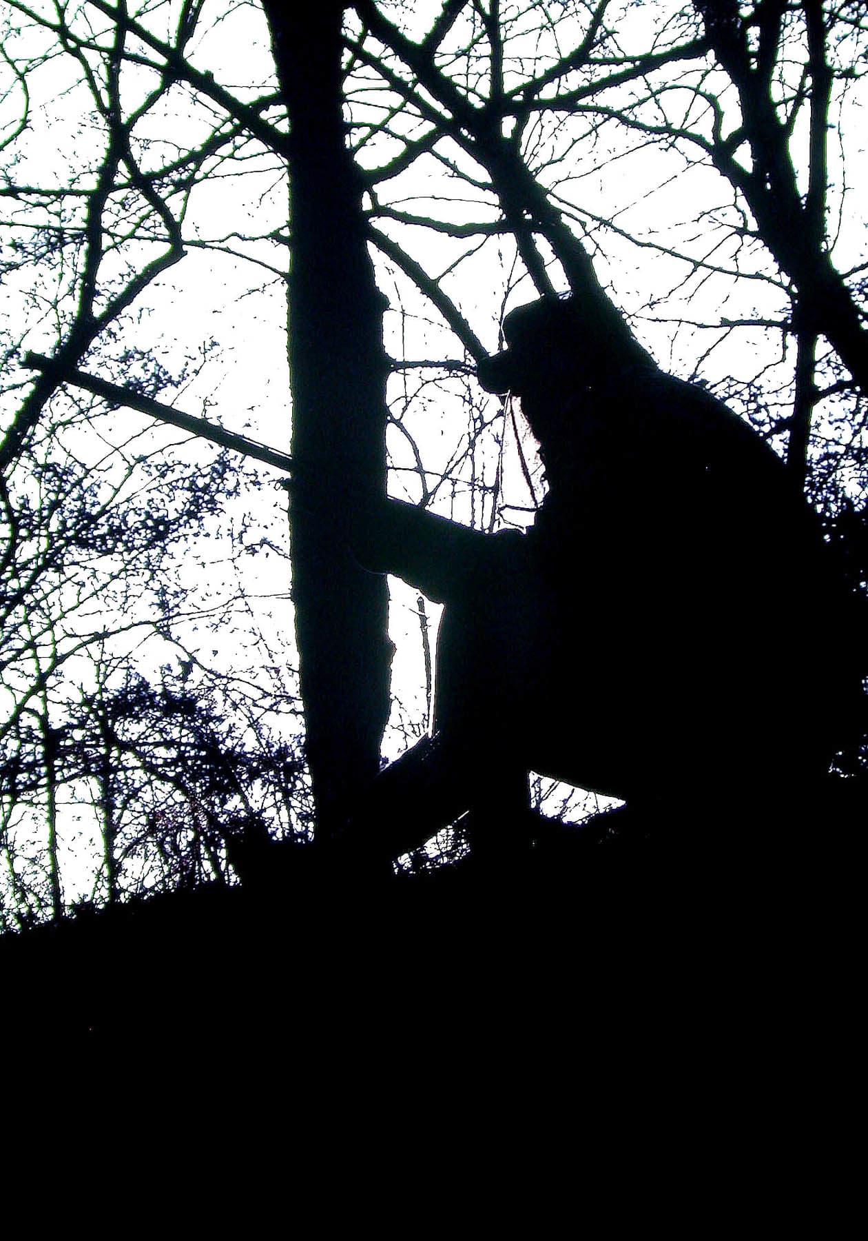 Eddie Salter Explains Why You Should Never Give Up Hunting Wily Turkeys