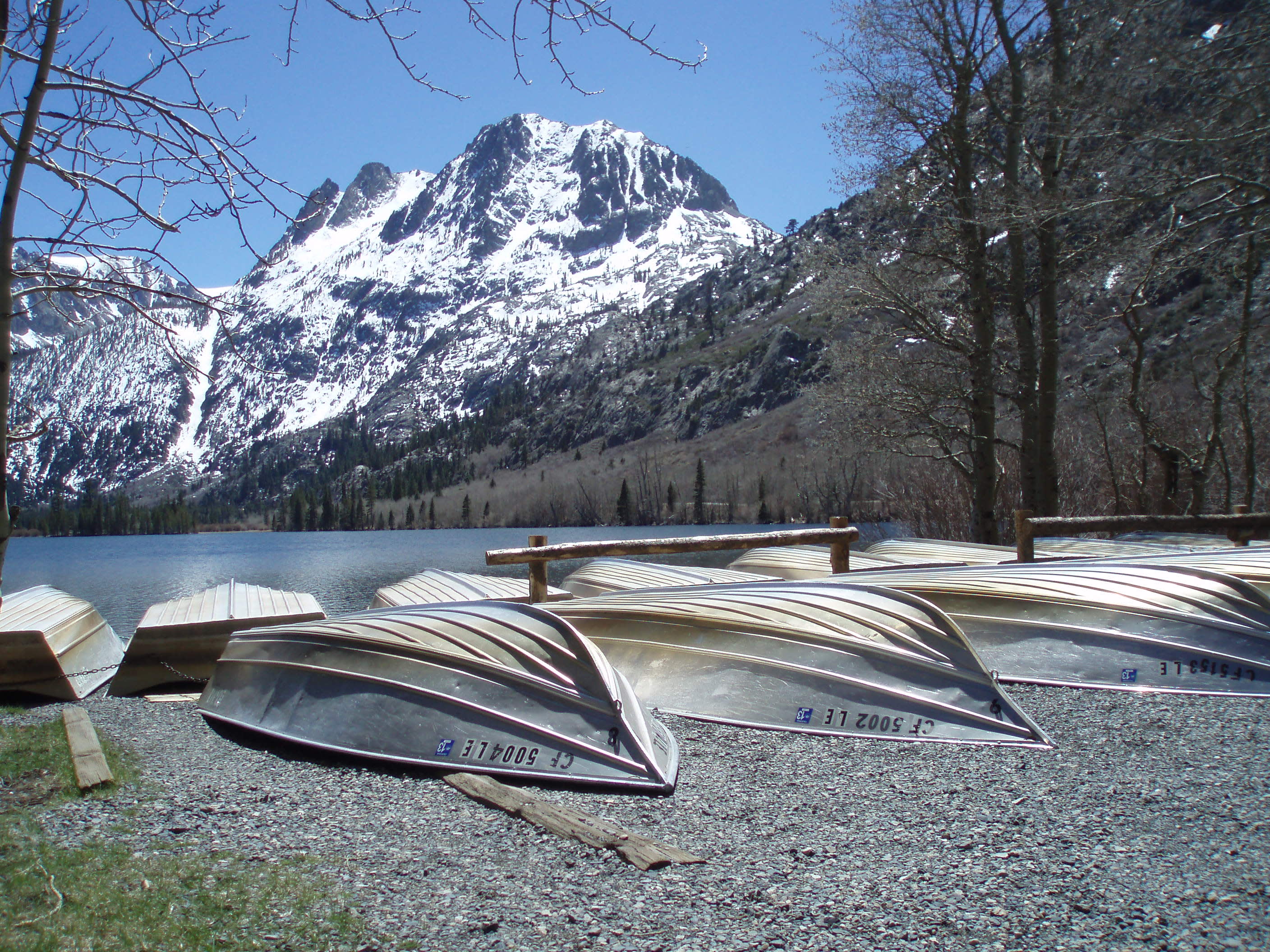 Stunning June Lake Loop Holds Starstruck Surprise