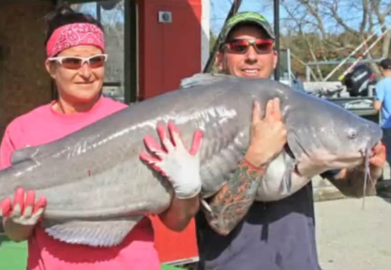 Angling Couple Holds Records after Catching Tournament-winning Blue Catfish