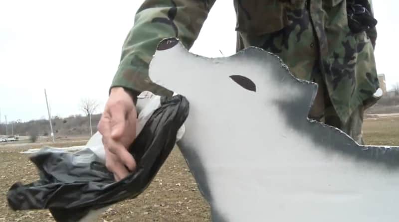 Man Builds Fake Coyotes to Ward Off Geese