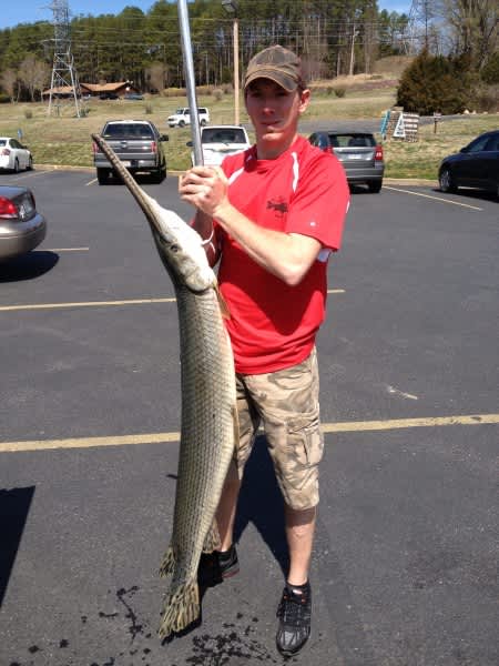 Angler Takes Missouri State Record Longnose Gar with Bow