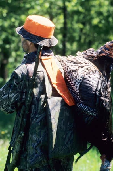 States Consider Removing Sunday Hunting Bans