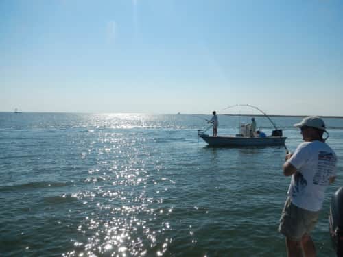 Helping Shape the Future of Saltwater Recreational Fishing: CSF Testifies Before Congress