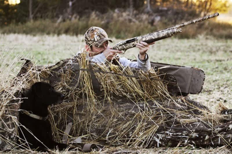 Fixing the Unfixable: When Good Hunts Go Bad