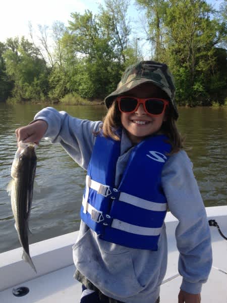 Take Your Kids Fishing: Striped Bass on the Roanoke River