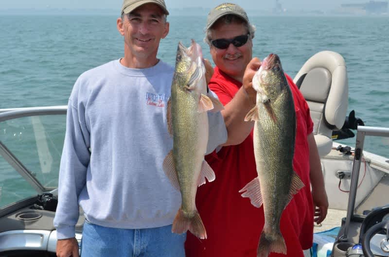 Cat-and-Mouse with Lake Erie Walleyes