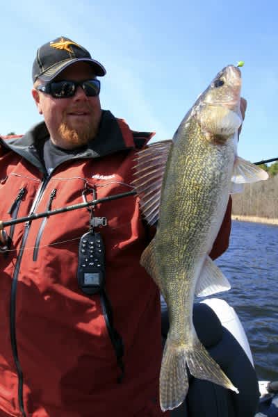 Late Arriving Spring Spurs Major Walleye Movements