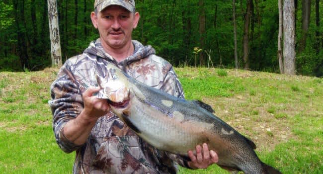 West Virginia Angler Catches New State Record Rainbow Trout