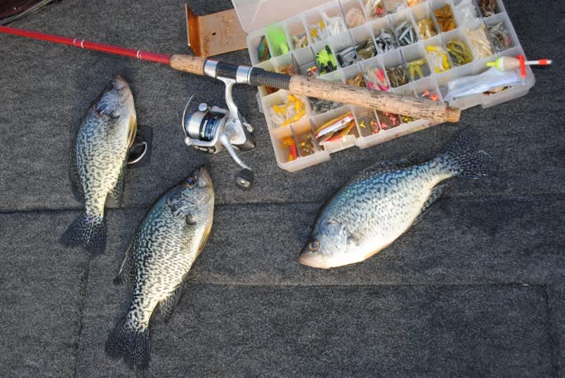 Chicken Feathers for Crappie on Michigan’s Diamond Lake