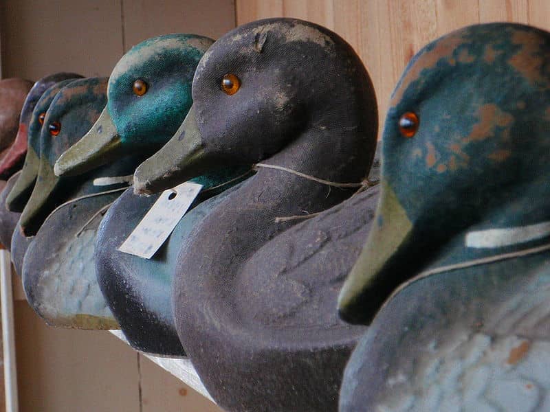 Waterfowl Museum to Auction 3,500 Decoys Worth an Estimated $500,000