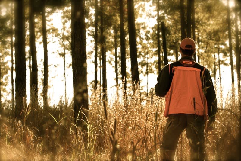 A Question of Federal Land: Will Sportsmen’s Rights Be Protected?