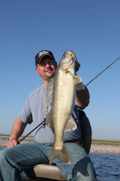 Surefire Strategies for Cranking Summer Walleyes on Shallow Structure