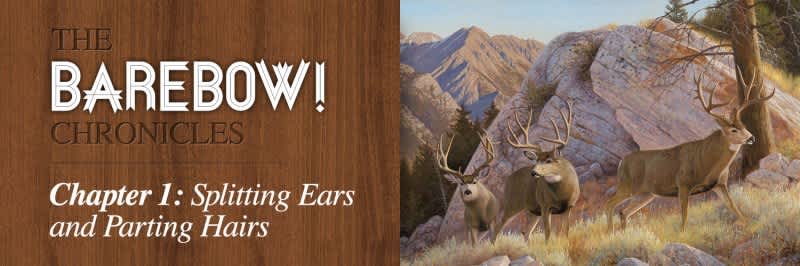 The BAREBOW! Chronicles: Splitting Ears and Parting Hairs