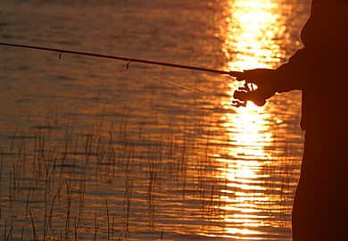 Renew Your State Hunting and Fishing License in South Carolina