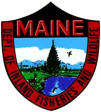 Maine Department Urges Caution, Safety Before Venturing on Ice