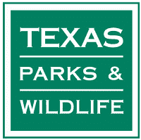 Wild Turkey “Super Stocking” Project Under Way in East Texas