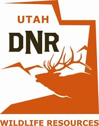 Utah DWR Seeks Input on Fishing and Hunting License Changes