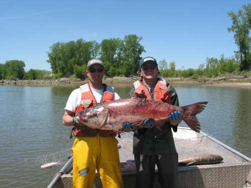 USGS Releases Dire New Report on Asian Carp, Great Lakes Governors Mull Solutions