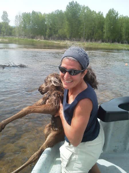 Anglers Catch (and Release) Moose