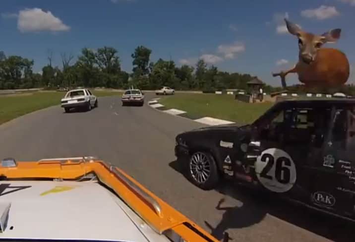 Video: Deer Jumps over Racecar in LeMons Rally