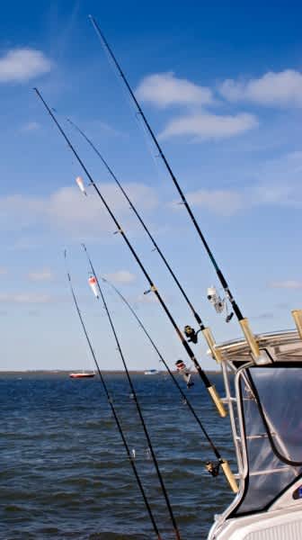 Surviving Seasickness on Your Charter Fishing Trip