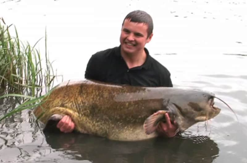 U.K. Angler Dragged into Lake by Giant Catfish
